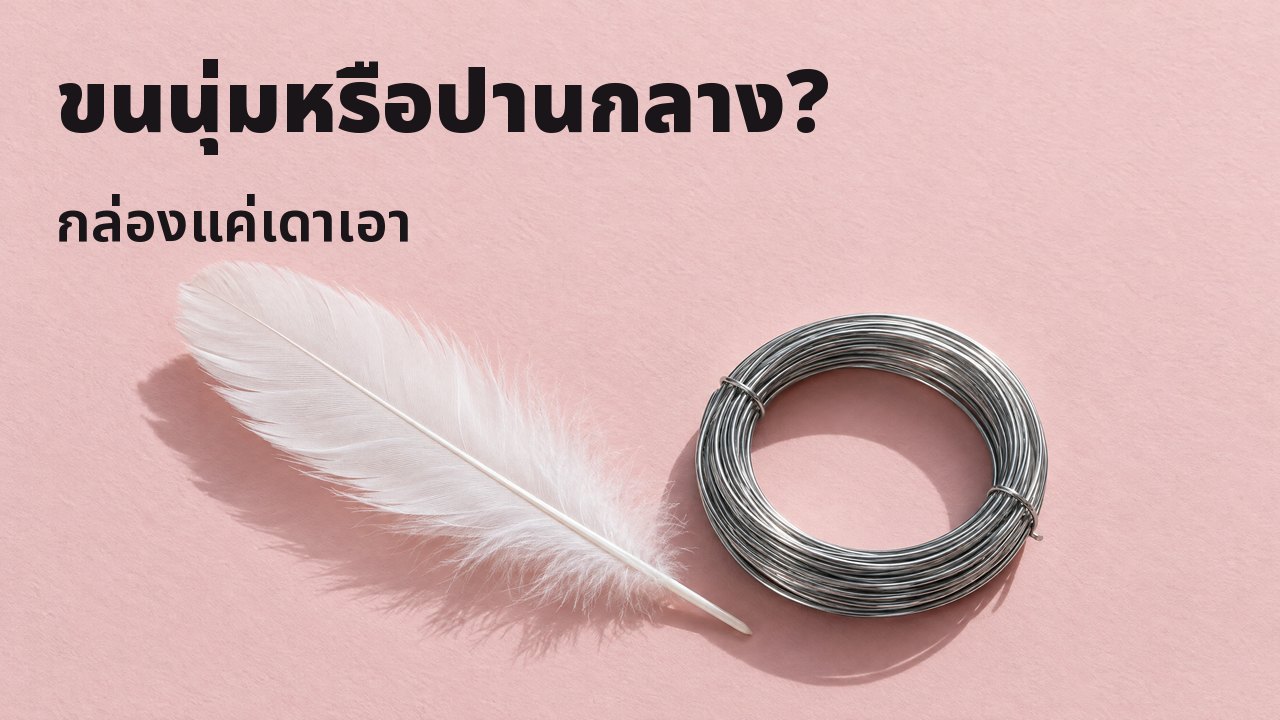 ขนนุ่มหรือปานกลาง? กล่องแค่เดาเอา มุมบน: ขนนกสีขาวนุ่มข้างขดลวดเหล็กแข็งที่พันแน่น บนกระดาษสีชมพูอ่อน