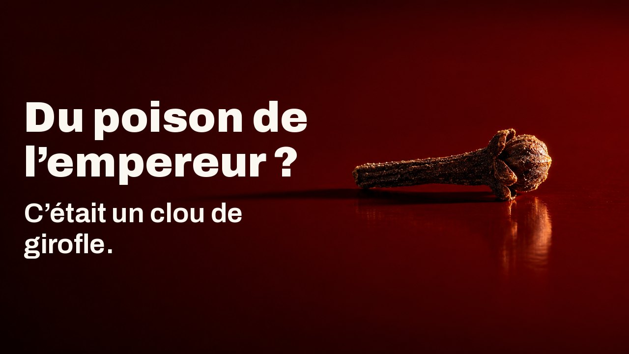 Du poison de l’empereur ? C’était un clou de girofle. Un seul bouton de girofle sombre posé sur un plateau de laque vermillon brillante comme un petit clou de fer, éclairé durement d’un côté, son ombre allongée traversant la laque.