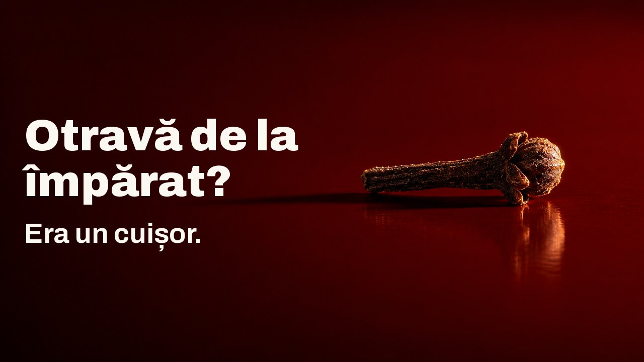 Otravă de la împărat? Era un cuișor. Un singur mugur întunecat de cuișor, culcat pe o tavă lăcuită de un roșu cinabru lucios, ca un mic cui de fier, luminat dur din lateral, cu umbra lungă întinsă peste lac.