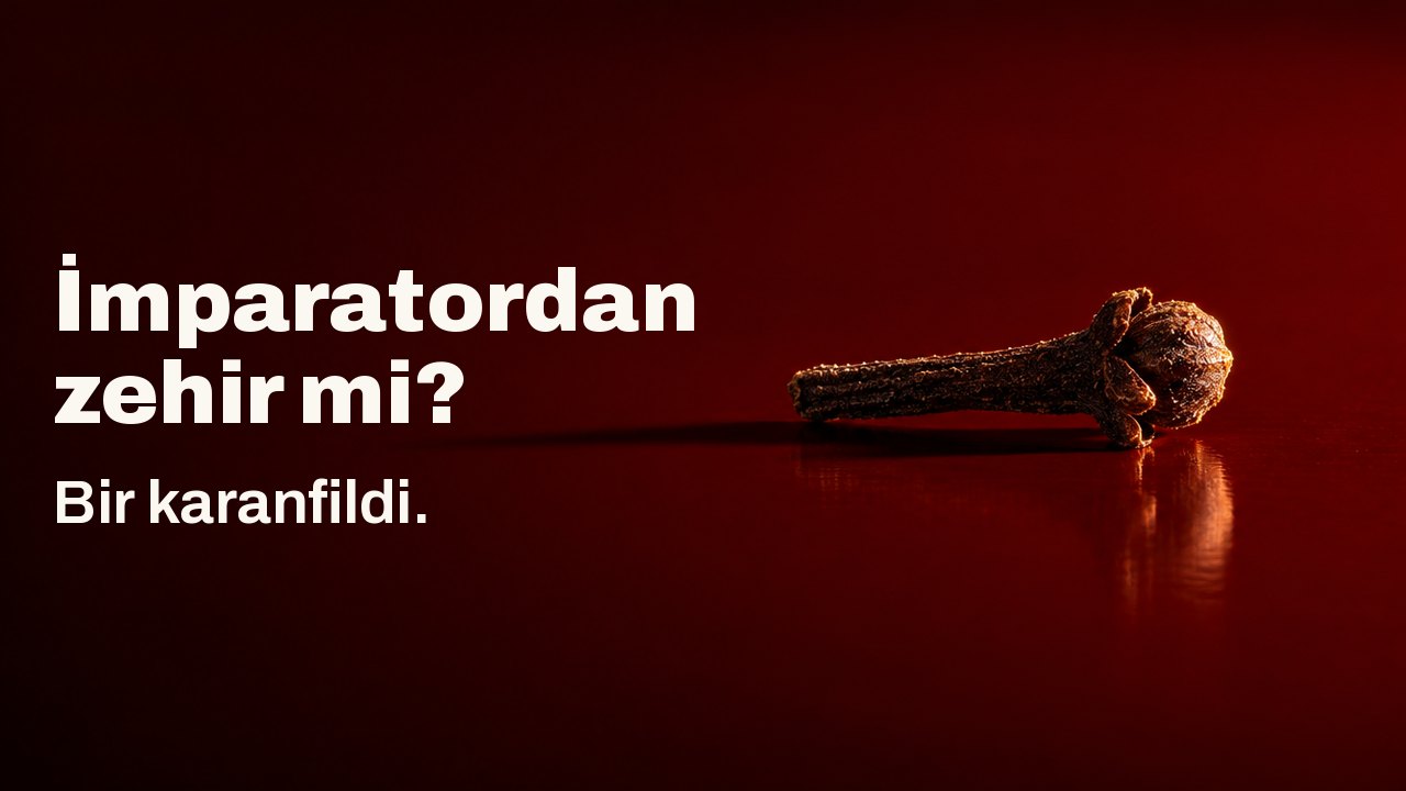 İmparatordan zehir mi? Bir karanfildi. Parlak, zencefre kırmızısı bir lake tepside küçük bir demir çivi gibi yatan tek bir koyu karanfil tomurcuğu, tek yandan sert ışıkla aydınlatılmış, uzun gölgesi lakenin üzerine uzanıyor.