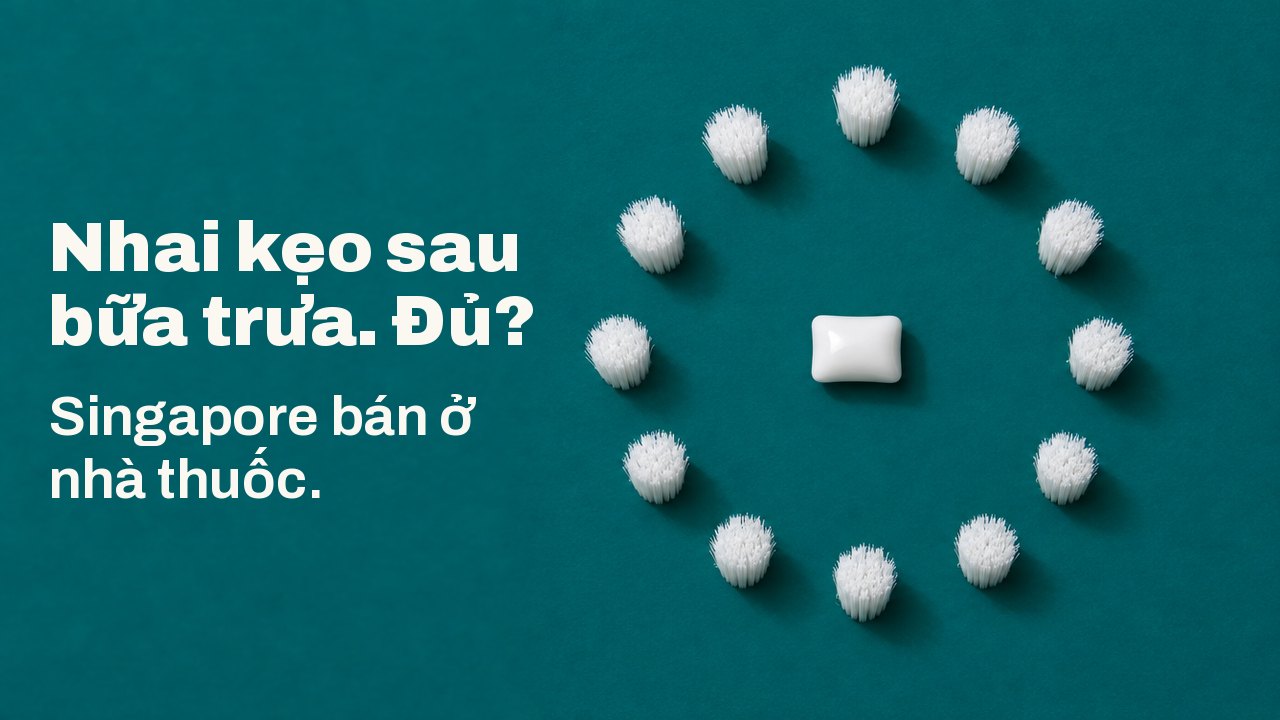 Nhai kẹo sau bữa trưa. Đủ? Singapore bán ở nhà thuốc. Nhìn thẳng từ trên xuống trên nền xanh mòng két đậm: một viên kẹo cao su trắng nằm giữa một vòng tròn hoàn hảo gồm những chùm lông bàn chải trắng, như mặt đồng hồ không có kim.