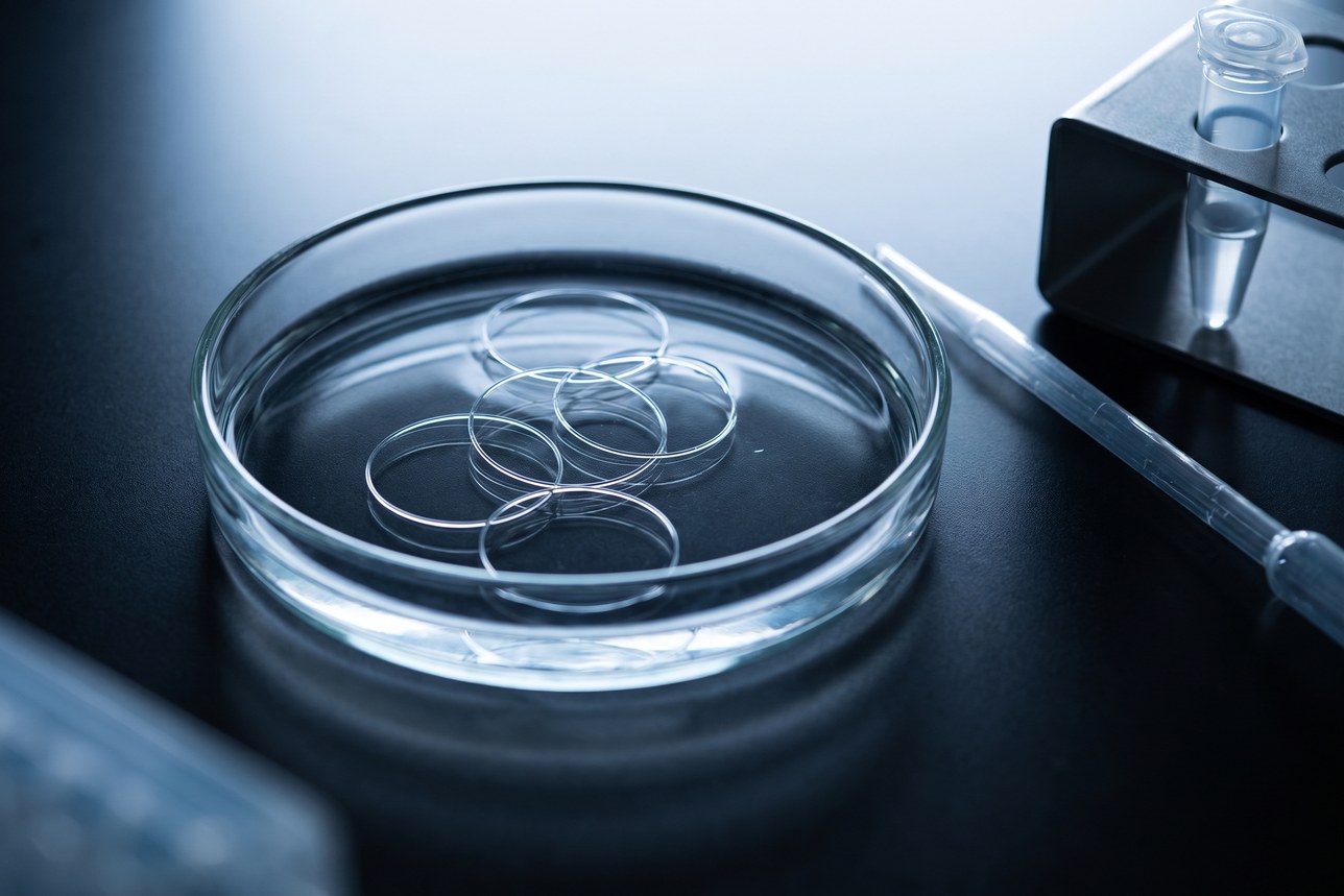 Oral microbiome DNA research — closed circular DNA loops suspended in a clear dish under cold light