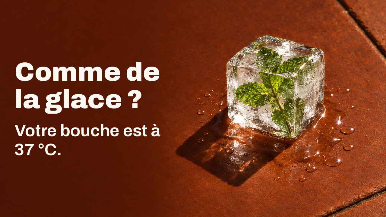 Comme de la glace ? Votre bouche est à 37 °C. Un seul glaçon transparent avec un brin de menthe pris dans la glace, qui fond sur un carreau de terre cuite brûlé par le soleil, sous la lumière dure de quinze heures.