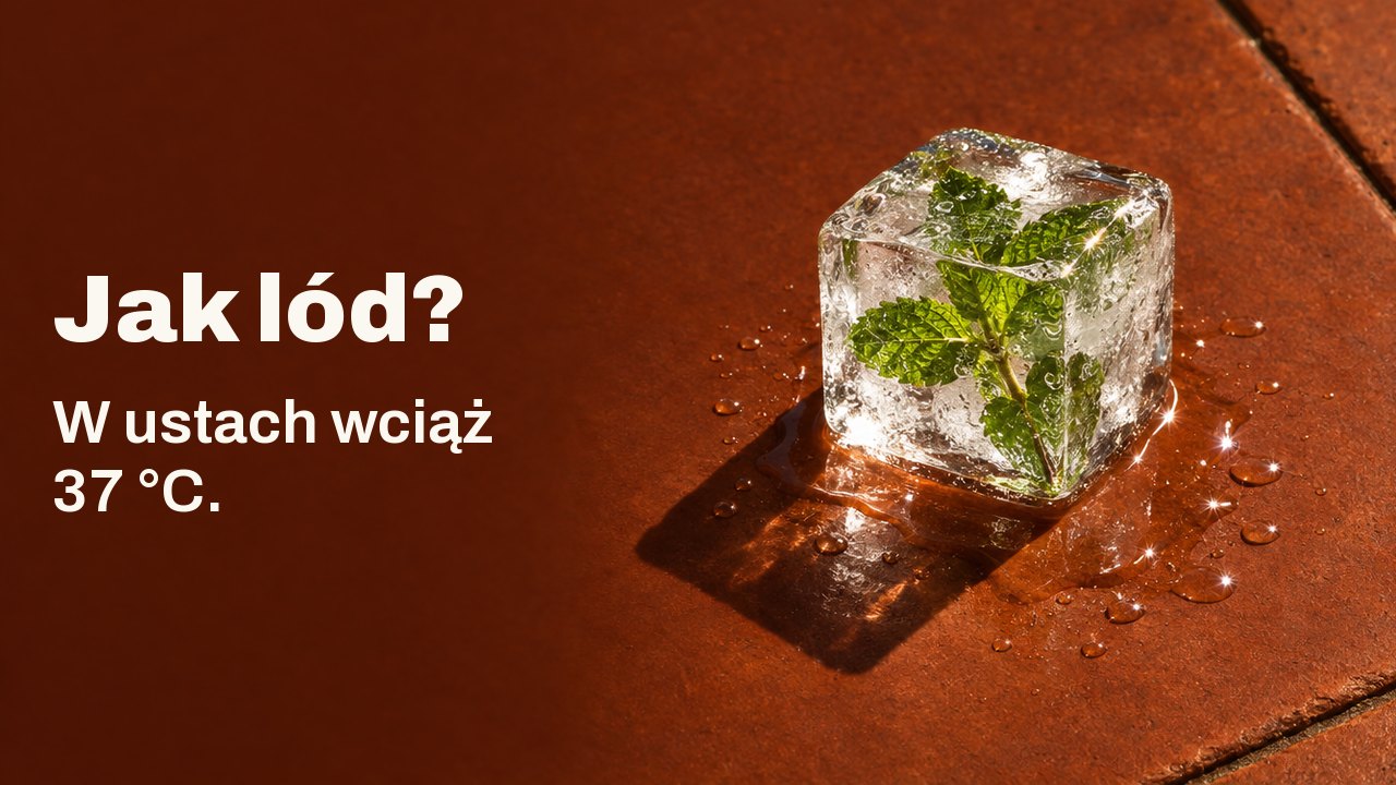 Jak lód? W ustach wciąż 37 °C. Jedna przezroczysta kostka lodu z zamrożoną w środku gałązką mięty topi się na rozgrzanej słońcem terakotowej płytce w ostrym popołudniowym świetle.