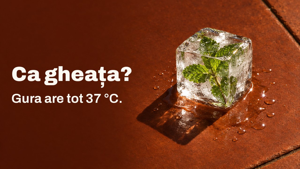 Ca gheața? Gura are tot 37 °C. Un singur cub de gheață transparent, cu o crenguță de mentă înghețată înăuntru, se topește pe o dală de teracotă încinsă de soare, în lumina aspră de după prânz.