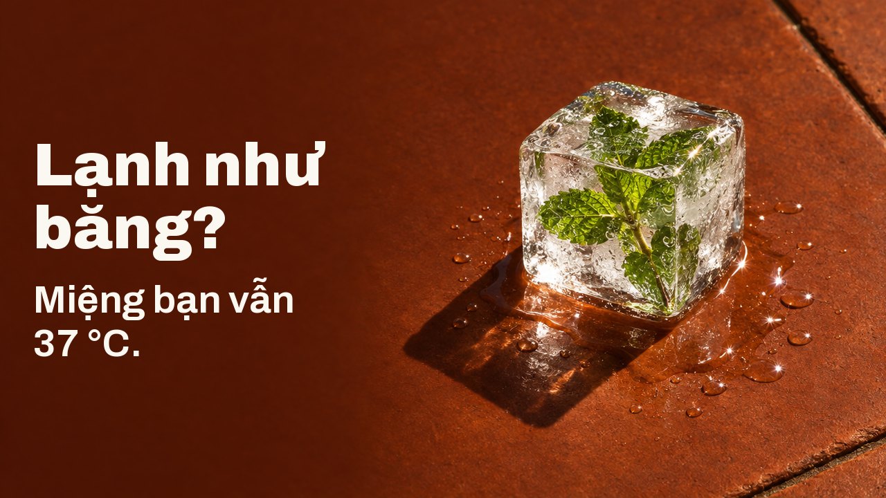 Lạnh như băng? Miệng bạn vẫn 37 °C. Một viên đá trong suốt có nhánh bạc hà đông cứng bên trong, đang tan trên viên gạch đất nung nóng nắng dưới ánh chiều gắt.
