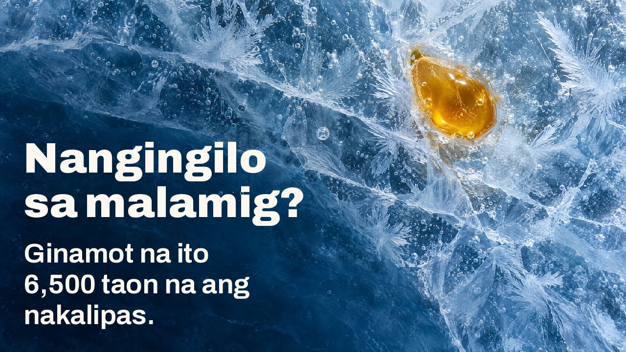 Nangingilo sa malamig? Ginamot na ito 6,500 taon na ang nakalipas. Mula sa itaas: isang patak ng gintong pagkit ng bubuyog na nagyelo sa loob ng basag na asul na yelo, may mga kristal ng hamog na yelo at bula ng hangin.