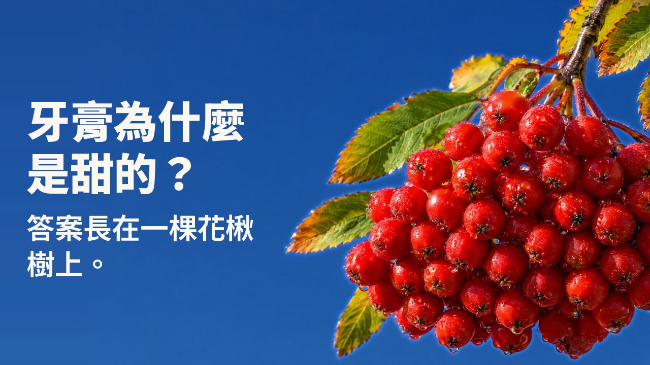 牙膏為什麼是甜的? 答案長在一棵花楸樹上。 一大串熟透的鮮紅花楸果掛著露珠,垂在帶秋葉的枝頭,背景是晴朗的深藍天空。