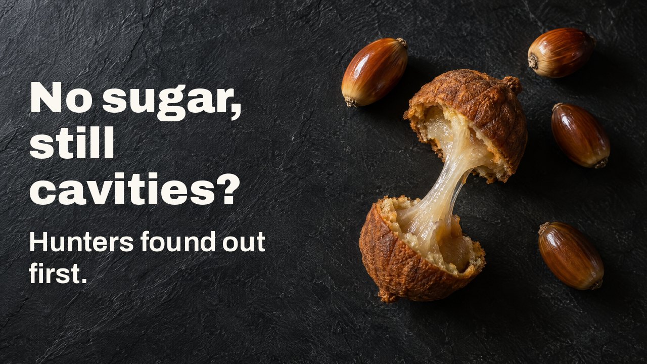 No sugar, still cavities? Hunters found out first. Seen from above: shelled acorns and a split acorn cake with a sticky strand of starch stretched between the halves, on dark slate.