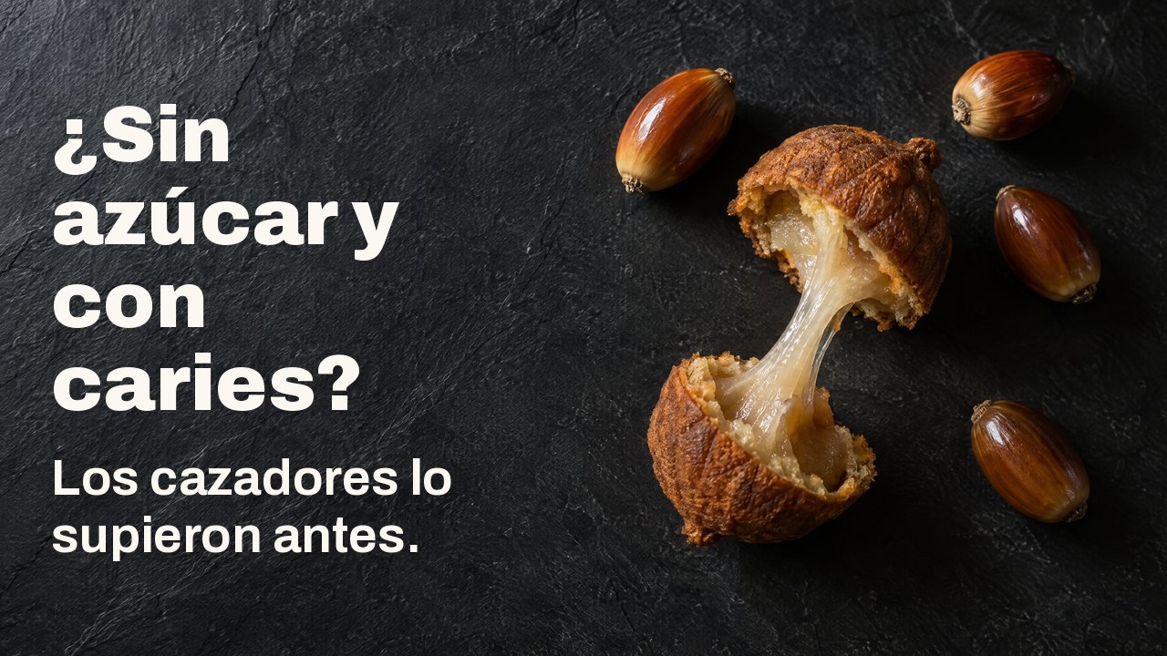 ¿Sin azúcar y con caries? Los cazadores lo supieron antes. Desde arriba: bellotas peladas y una torta de bellota partida con un hilo pegajoso de almidón entre las mitades, sobre pizarra oscura.