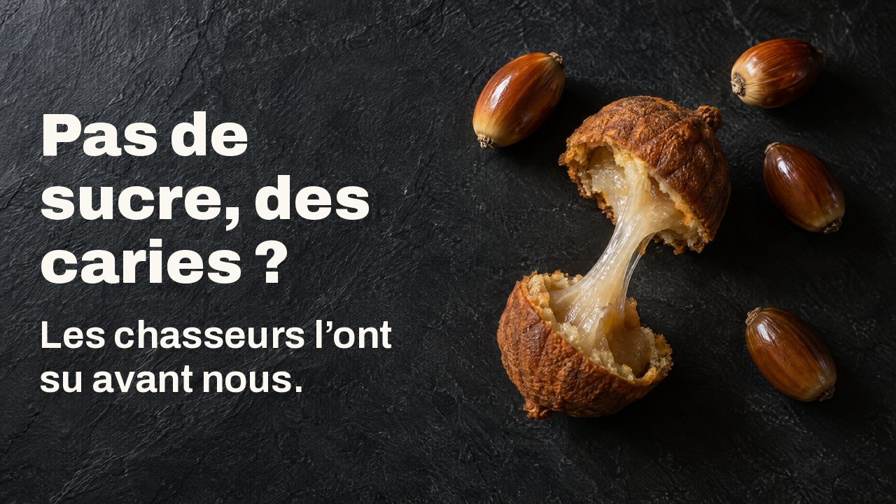 Pas de sucre, des caries ? Les chasseurs l’ont su avant nous. Vu d’en haut : des glands décortiqués et une galette de glands rompue, un fil d’amidon collant entre les moitiés, sur ardoise sombre.