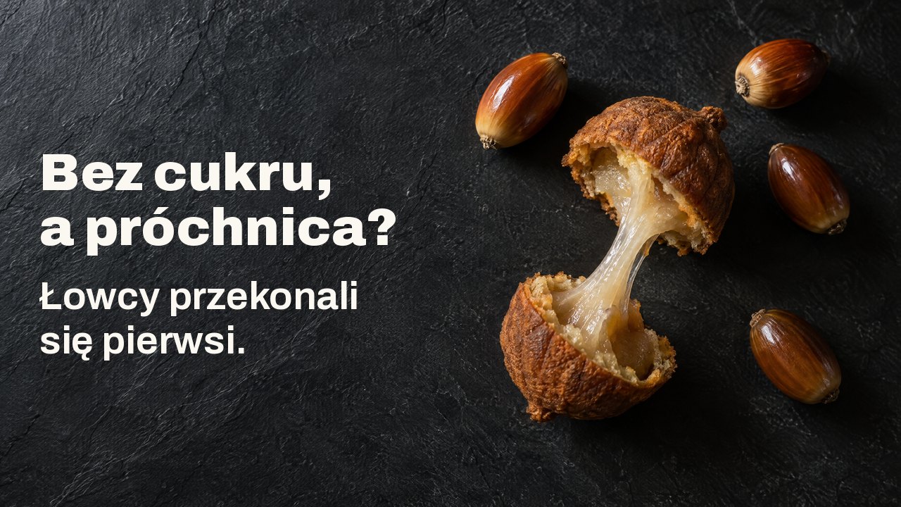 Bez cukru, a próchnica? Łowcy przekonali się pierwsi. Z góry: obrane żołędzie i przełamany placek z żołędzi z lepką nitką skrobi między połówkami, na ciemnym łupku.
