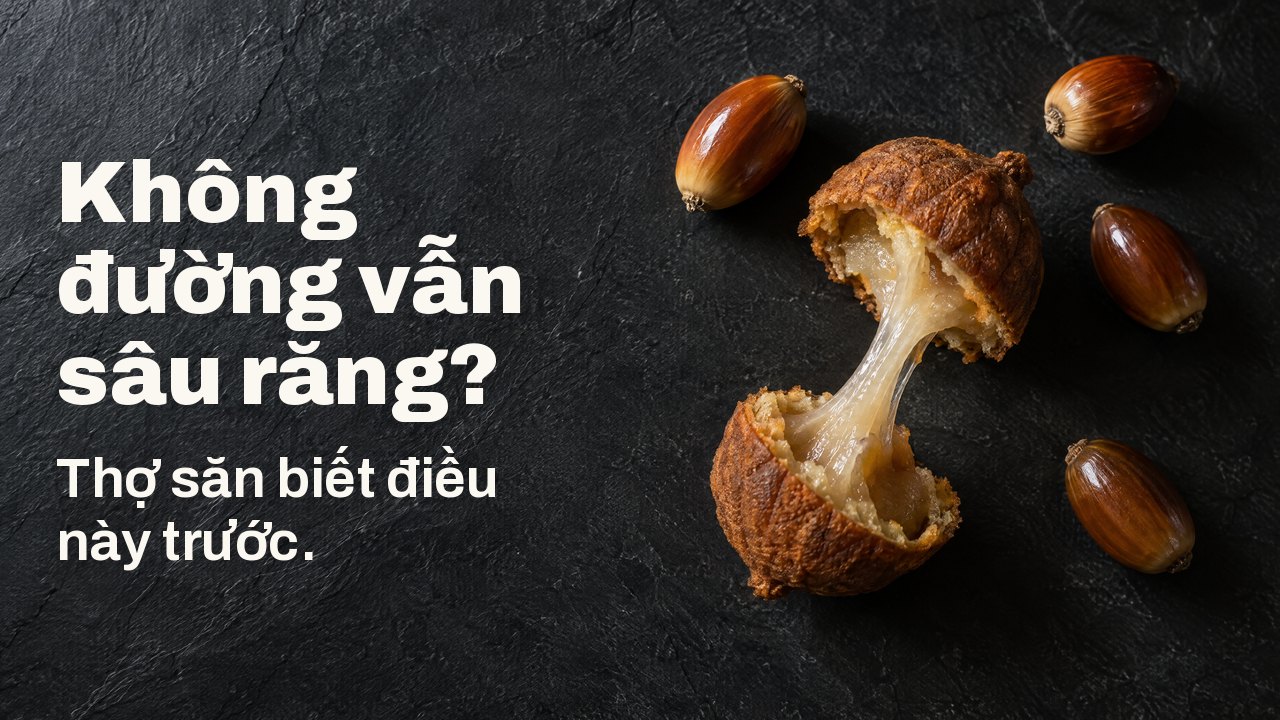 Không đường vẫn sâu răng? Thợ săn biết điều này trước. Nhìn từ trên: hạt sồi bóc vỏ và chiếc bánh hạt sồi bẻ đôi, sợi tinh bột dẻo kéo dài giữa hai nửa, trên nền đá phiến tối.