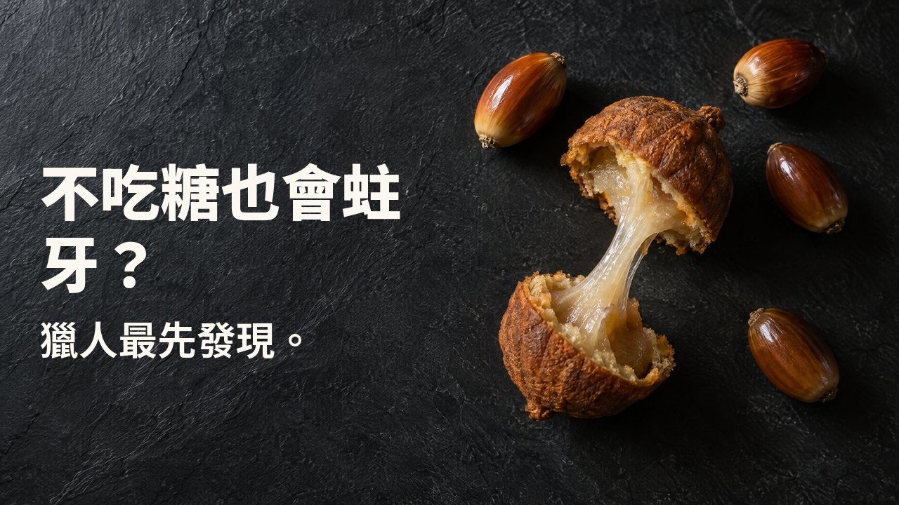 不吃糖也會蛀牙? 獵人最先發現。 俯視:去殼的橡實和掰開的橡實餅,兩半之間拉出一縷黏稠的澱粉絲,置於深色板岩上。