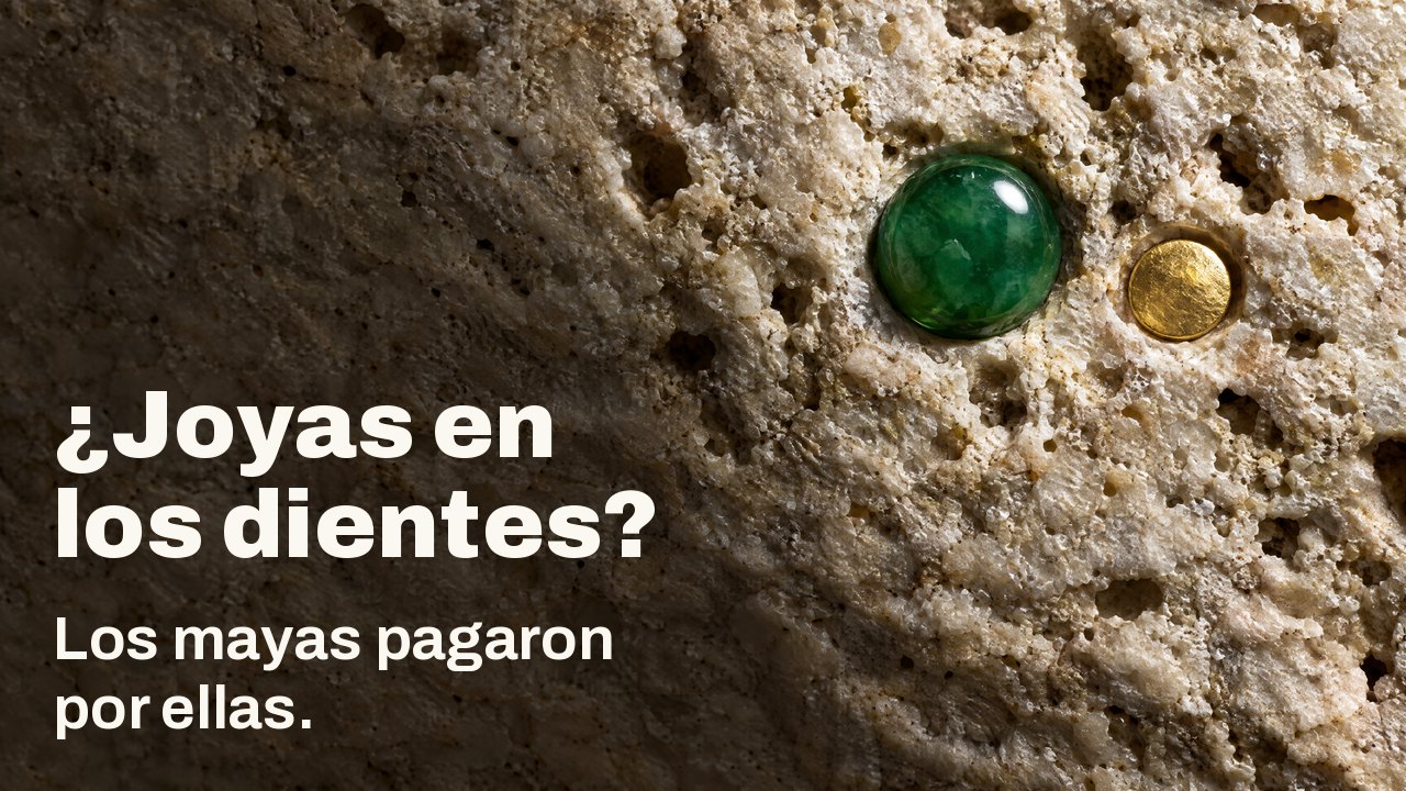 ¿Joyas en los dientes? Los mayas pagaron por ellas. Macro con luz rasante: una gema de jade pulida y un pequeño disco de oro engastados en piedra caliza clara y rugosa.