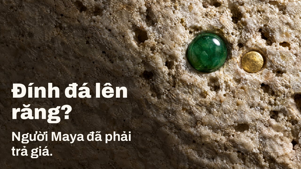 Đính đá lên răng? Người Maya đã phải trả giá. Macro dưới ánh sáng xiên: viên ngọc bích đánh bóng và đĩa vàng nhỏ gắn vào đá vôi sáng màu thô ráp.