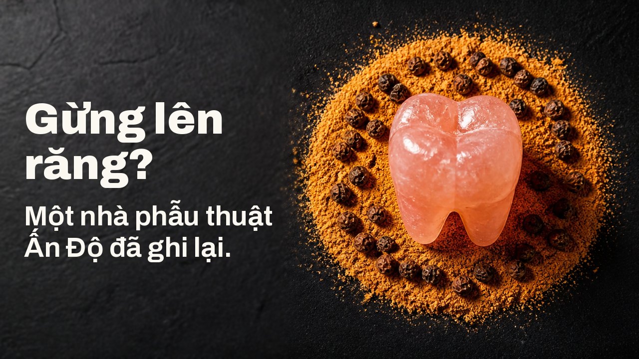 Gừng lên răng? Một nhà phẫu thuật Ấn Độ đã ghi lại. Nhìn từ trên xuống trên tấm vải chàm sẫm: một chiếc răng hàm tạc từ muối mỏ hồng đứng giữa vòng gừng khô xay màu cam và tiêu đen.