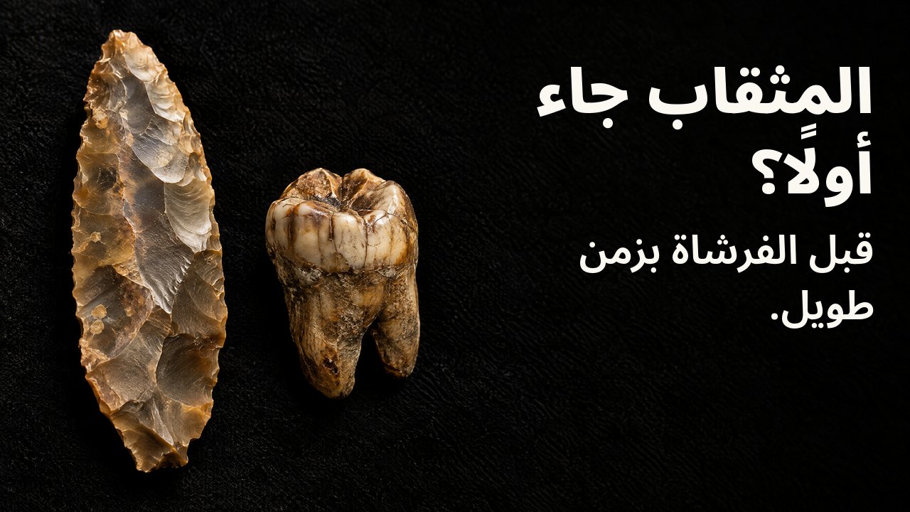 المثقاب جاء أولًا؟ قبل الفرشاة بزمن طويل. تحت ضوء متحف: نصل صوّاني قديم بجانب ضرس متحجّر على مخمل أسود.