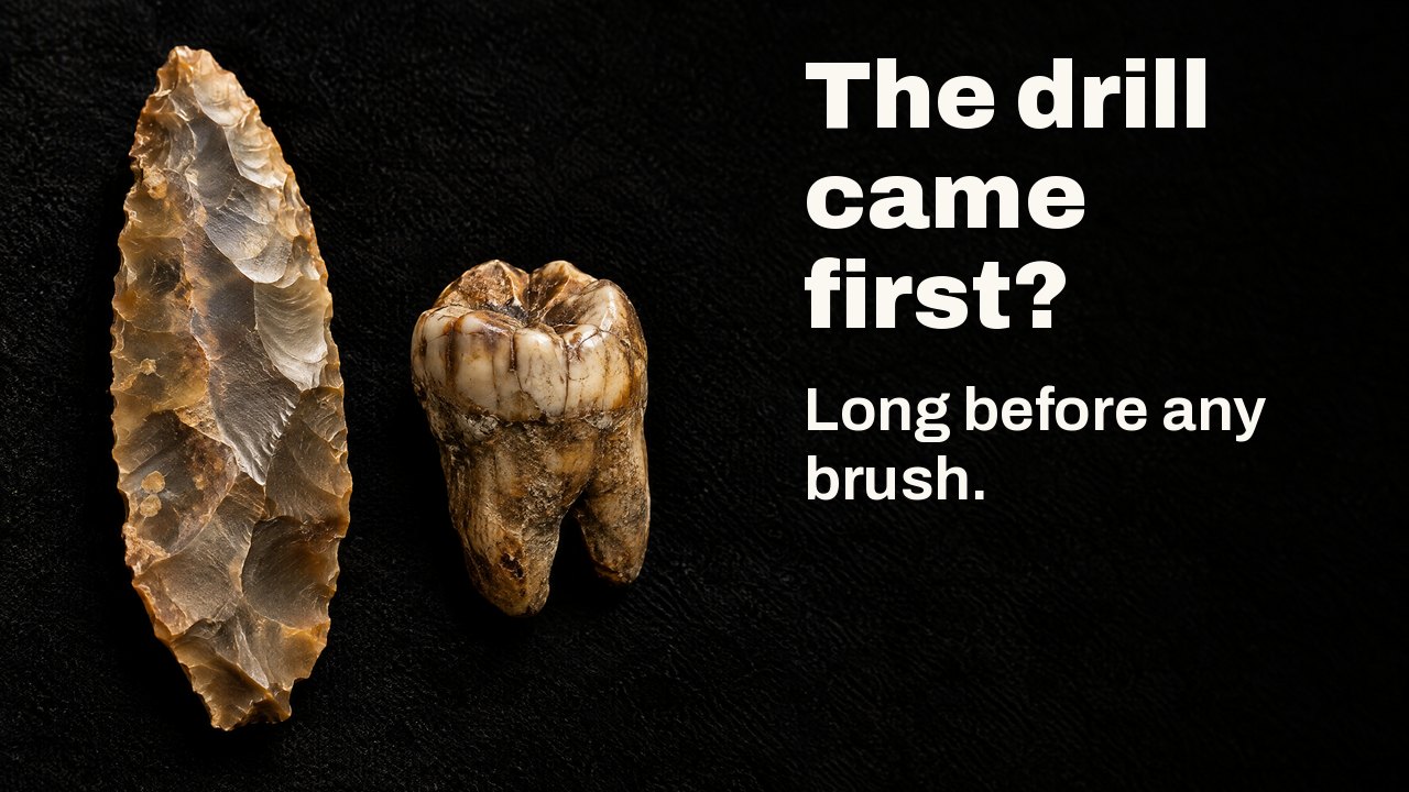 The drill came first? Long before any brush. Under a museum spotlight: an ancient flint blade beside a fossilised molar on black velvet.