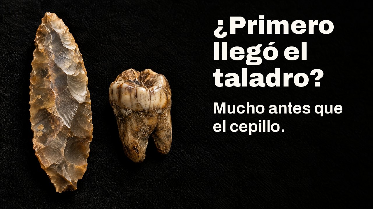 ¿Primero llegó el taladro? Mucho antes que el cepillo. Bajo un foco de museo: una antigua hoja de sílex junto a un molar fosilizado sobre terciopelo negro.