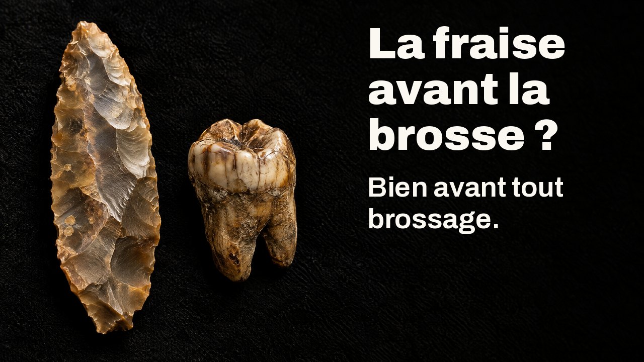 La fraise avant la brosse ? Bien avant tout brossage. Sous un projecteur de musée : une lame de silex ancienne à côté d’une molaire fossilisée sur velours noir.