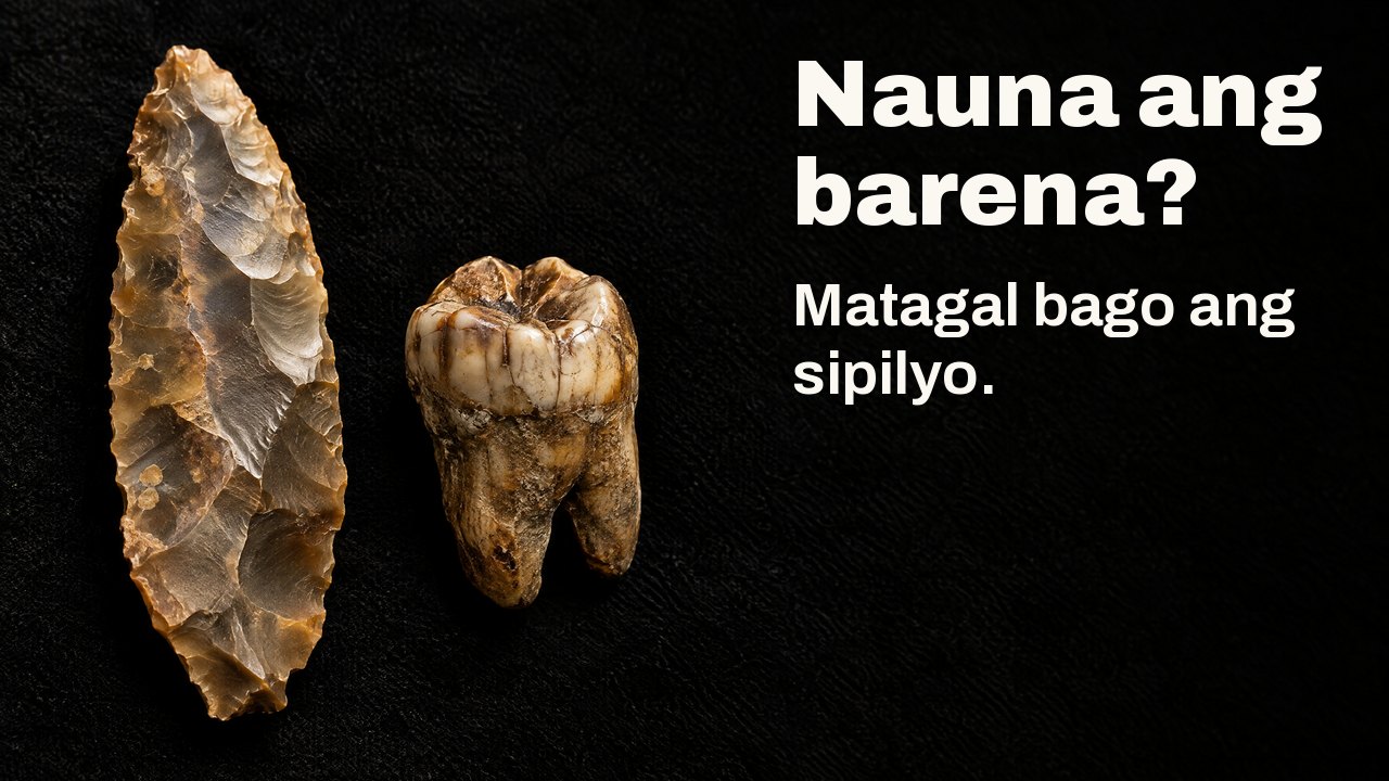 Nauna ang barena? Matagal bago ang sipilyo. Sa ilalim ng spotlight ng museo: sinaunang talim ng flint katabi ng fosil na bagang sa itim na pelus.