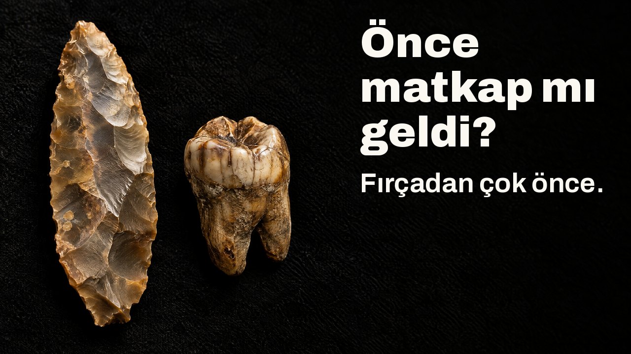 Önce matkap mı geldi? Fırçadan çok önce. Müze spotunun altında: siyah kadife üzerinde fosilleşmiş bir azı dişinin yanında eski bir çakmaktaşı bıçak.