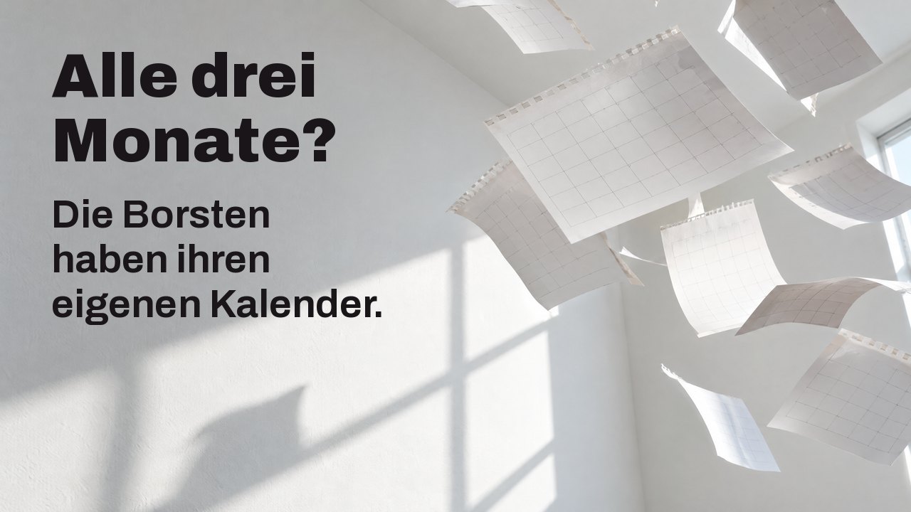 Alle drei Monate? Die Borsten haben ihren eigenen Kalender. Leere Kalenderblätter, abgerissen, fliegen durch einen weißen, sonnigen Raum, in der Luft erstarrt.