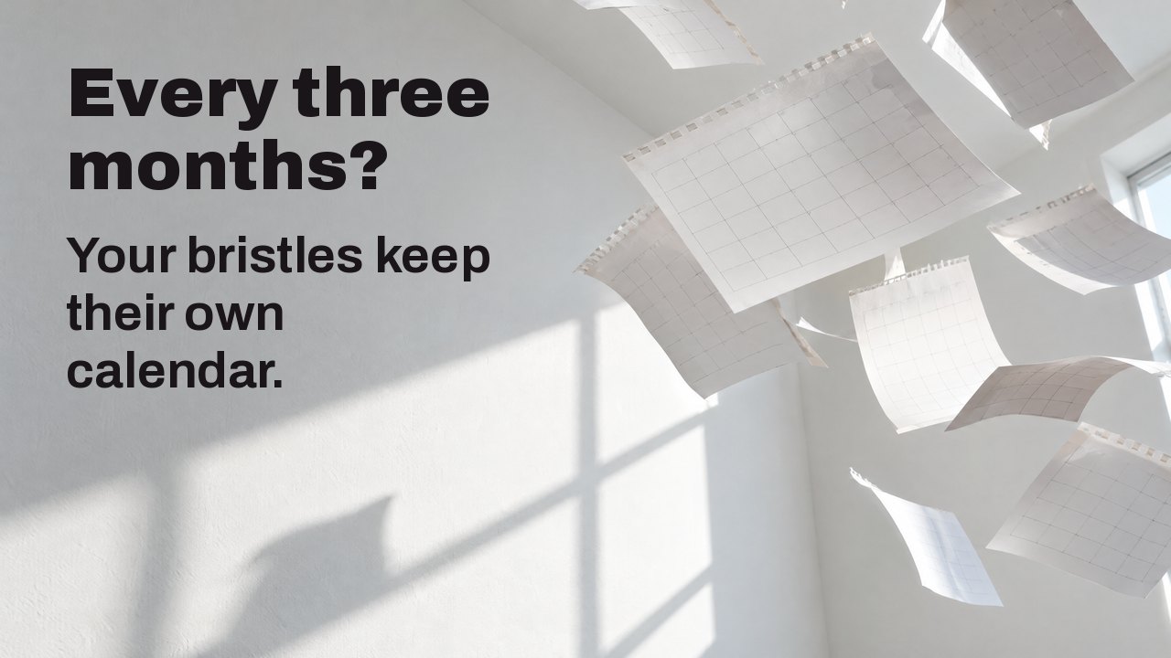 Every three months? Your bristles keep their own calendar. Blank calendar pages torn off and flying through a white sunlit room, frozen mid air.