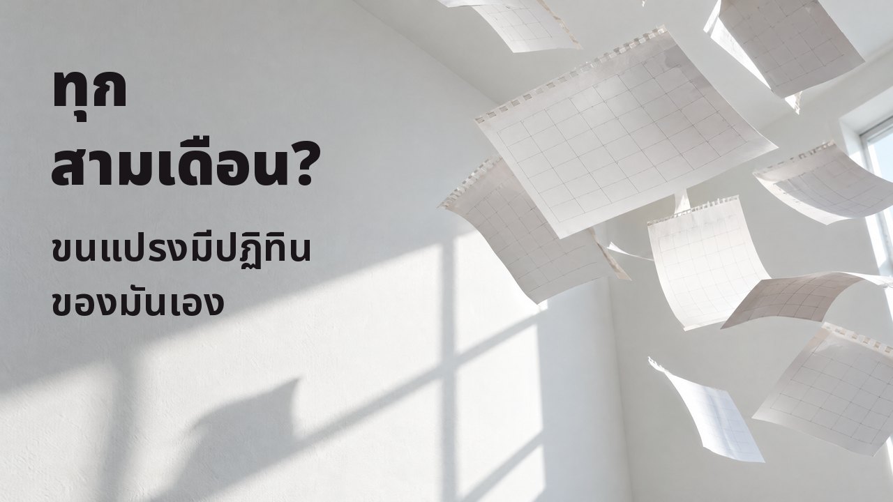 ทุกสามเดือน? ขนแปรงมีปฏิทินของมันเอง แผ่นปฏิทินเปล่าถูกฉีกปลิวไปในห้องสีขาวที่มีแดดส่อง หยุดนิ่งกลางอากาศ