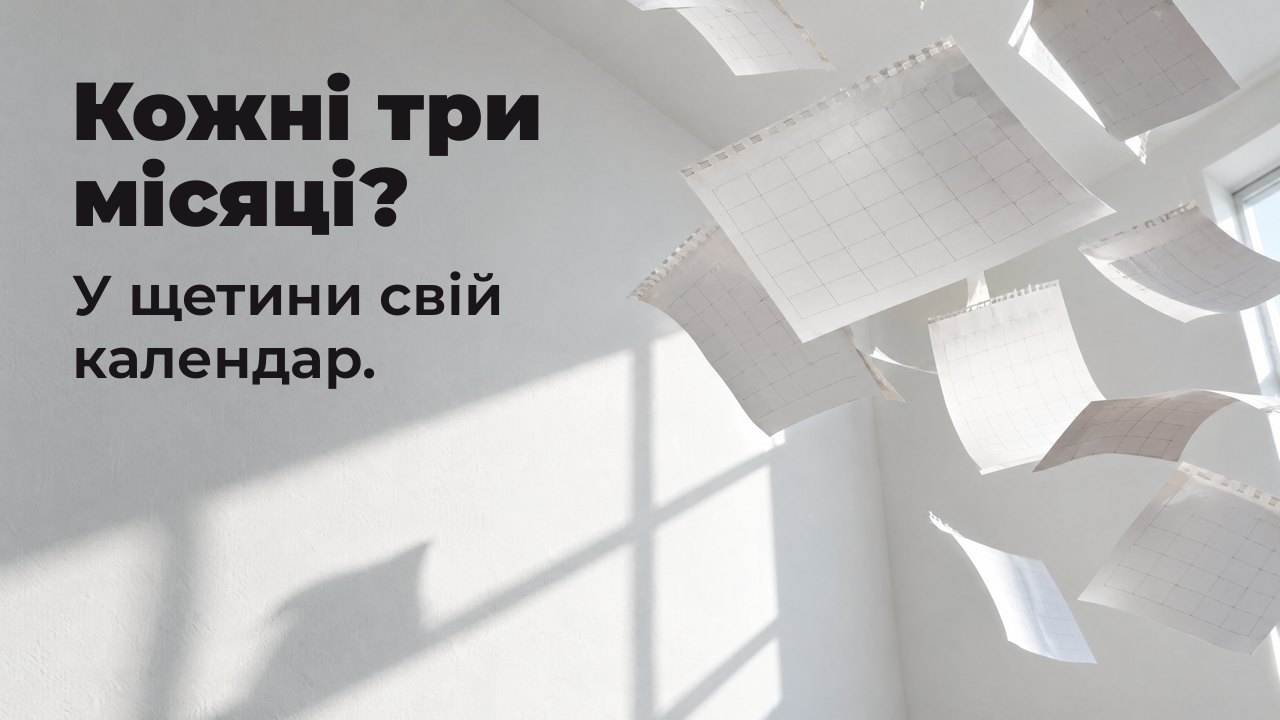 Кожні три місяці? У щетини свій календар. Чисті аркуші календаря зірвані й летять білою сонячною кімнатою, застигнувши в повітрі.