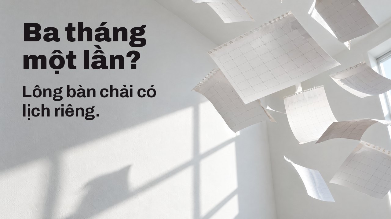 Ba tháng một lần? Lông bàn chải có lịch riêng. Những tờ lịch trống bị xé bay qua căn phòng trắng ngập nắng, đông cứng giữa không trung.