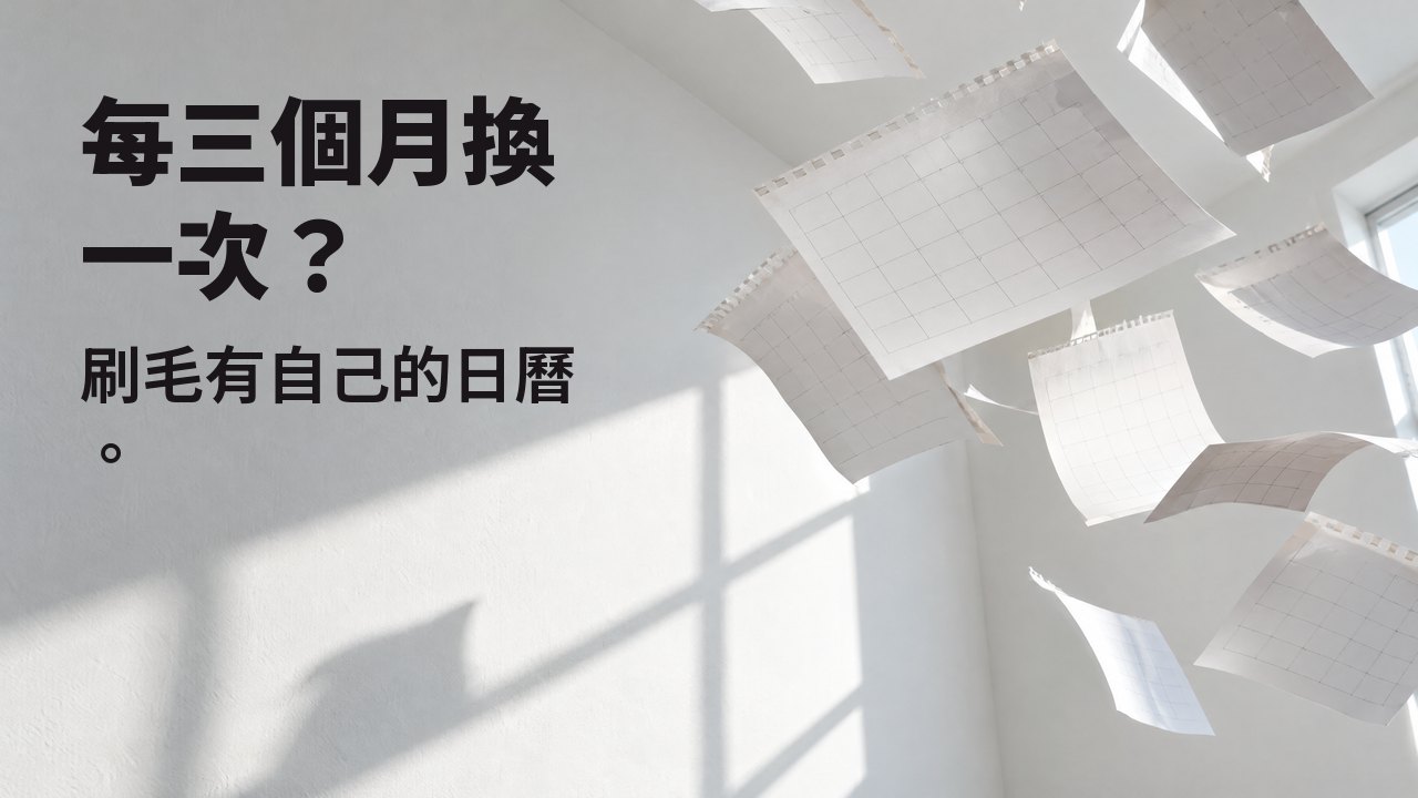 每三個月換一次? 刷毛有自己的日曆。 撕下的空白日曆頁在灑滿陽光的白色房間裡飛舞,凝結在半空。