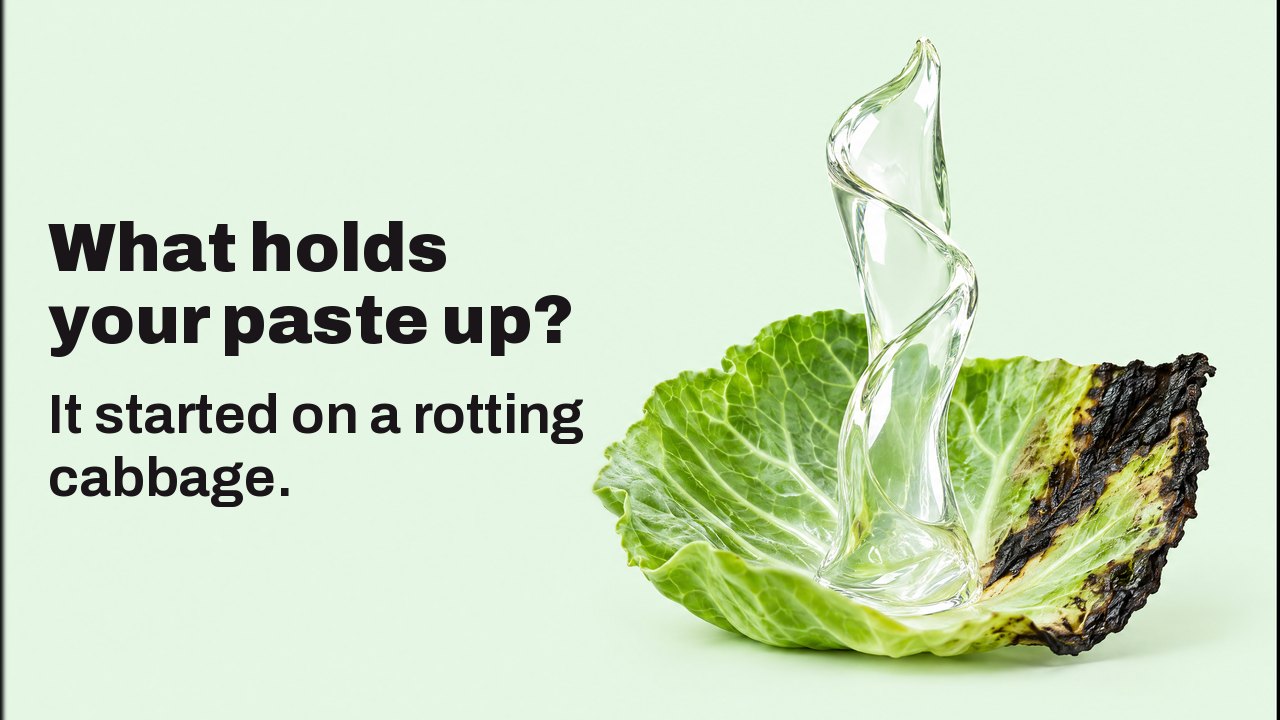 What holds your paste up? It started on a rotting cabbage. Close up at leaf level on a pale mint ground: a glossy ribbon of clear gel rises upright out of a fresh cabbage leaf whose edge has turned black, standing on its own like a sculpture.
