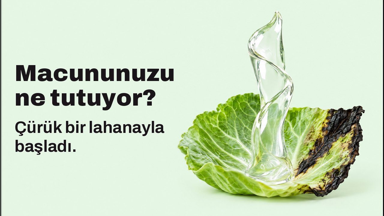 Macununuzu ne tutuyor? Çürük bir lahanayla başladı. Açık nane yeşili zeminde, yaprak hizasından yakın plan: parlak, şeffaf bir jel şeridi, kenarı kararmış taze bir lahana yaprağından dimdik yükseliyor ve bir heykel gibi kendi başına duruyor.