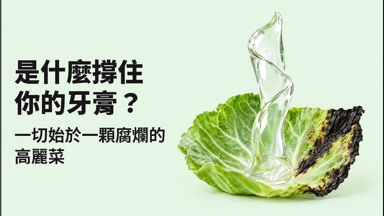 是什麼撐住你的牙膏? 一切始於一顆腐爛的高麗菜 貼近葉面高度的特寫,背景是淡薄荷綠:一條光亮的透明凝膠從一片新鮮、葉緣已經變黑的高麗菜葉中直立升起,像雕塑般自己站著。