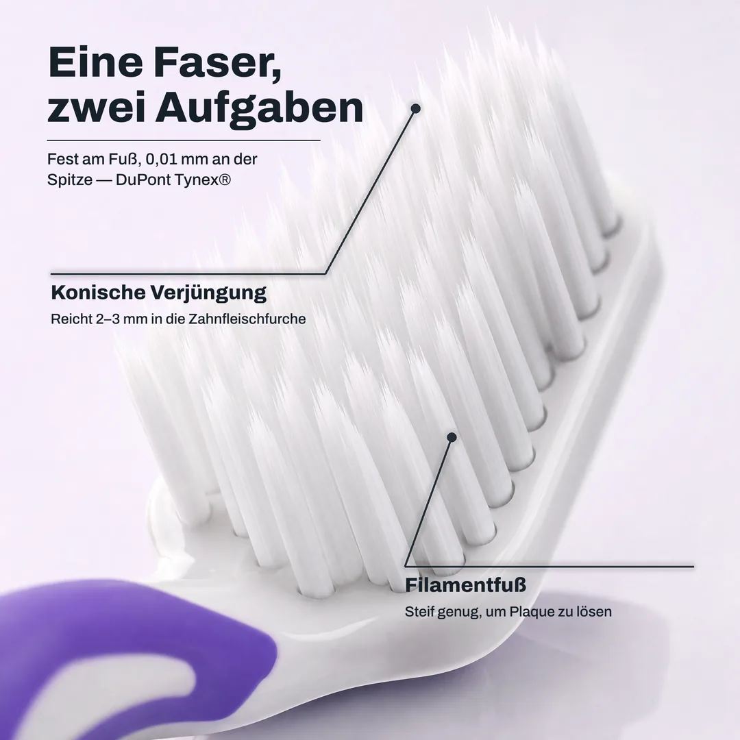 Eine Faser, zwei Aufgaben — Fest am Fuß, 0,01 mm an der Spitze — DuPont Tynex® · Konische Verjüngung: Reicht 2–3 mm in die Zahnfleischfurche · Filamentfuß: Steif genug, um Plaque zu lösen