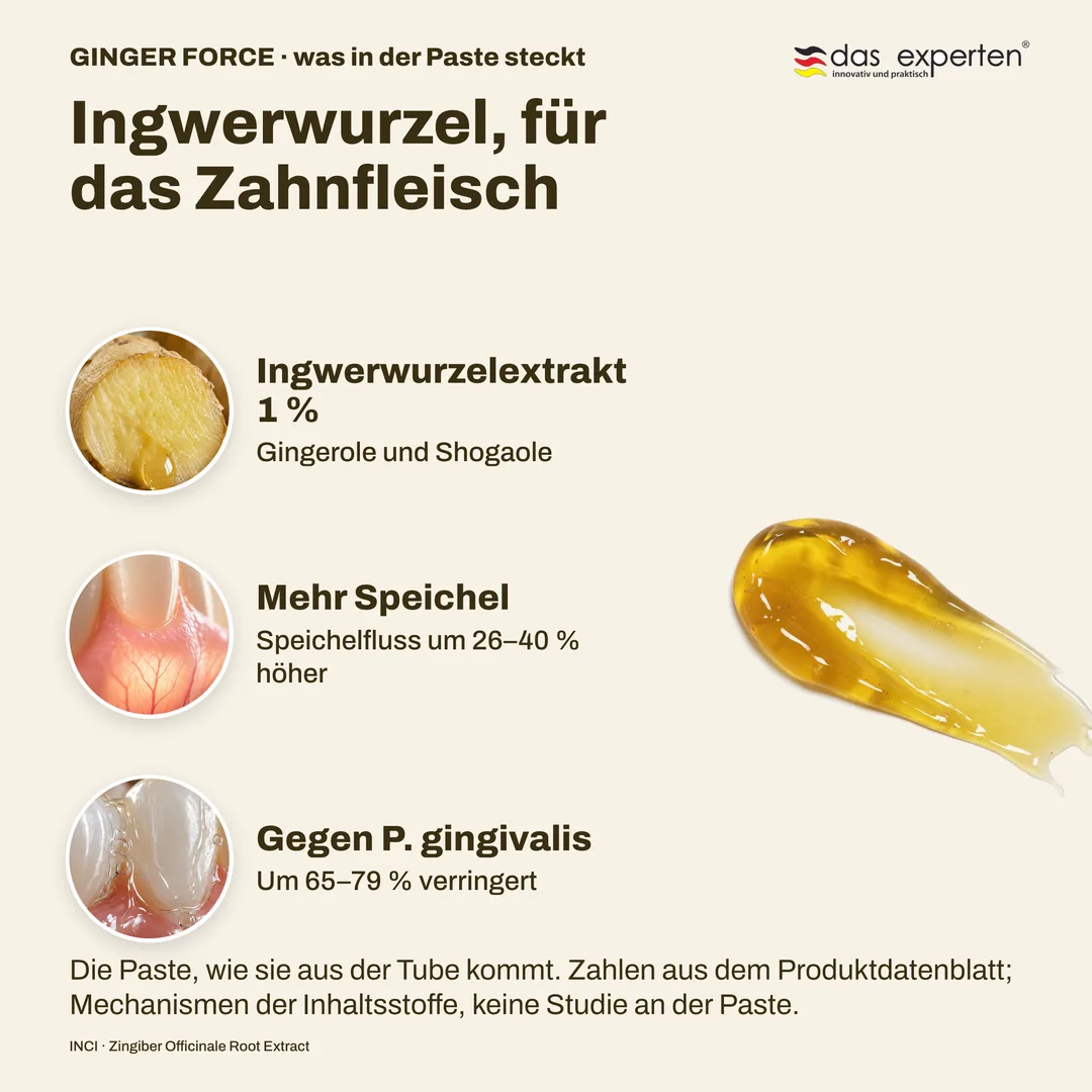 Ingwerwurzel, für das Zahnfleisch — Ingwerwurzelextrakt 1 %; Mehr Speichel; Gegen P. gingivalis