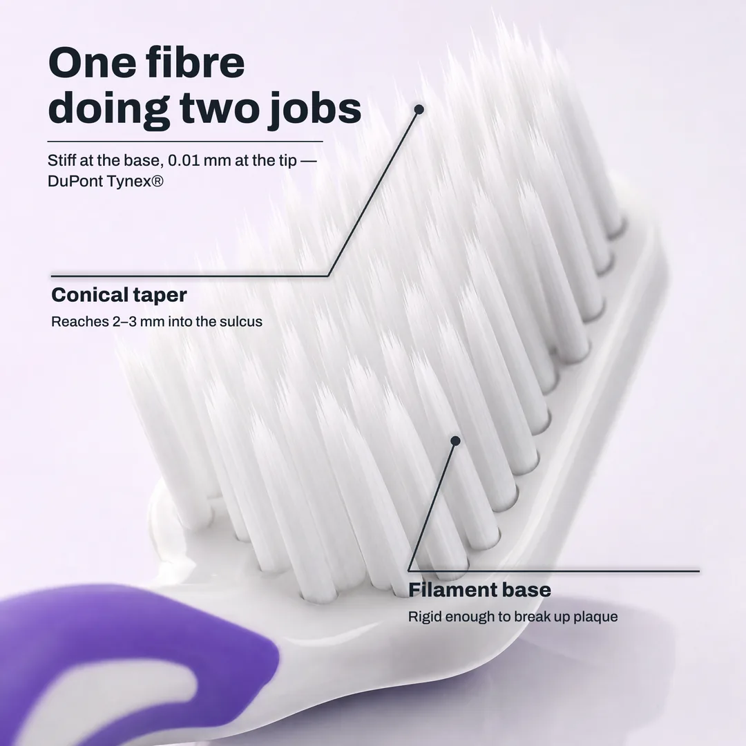 One fibre doing two jobs — Stiff at the base, 0.01 mm at the tip — DuPont Tynex® · Conical taper: Reaches 2–3 mm into the sulcus · Filament base: Rigid enough to break up plaque
