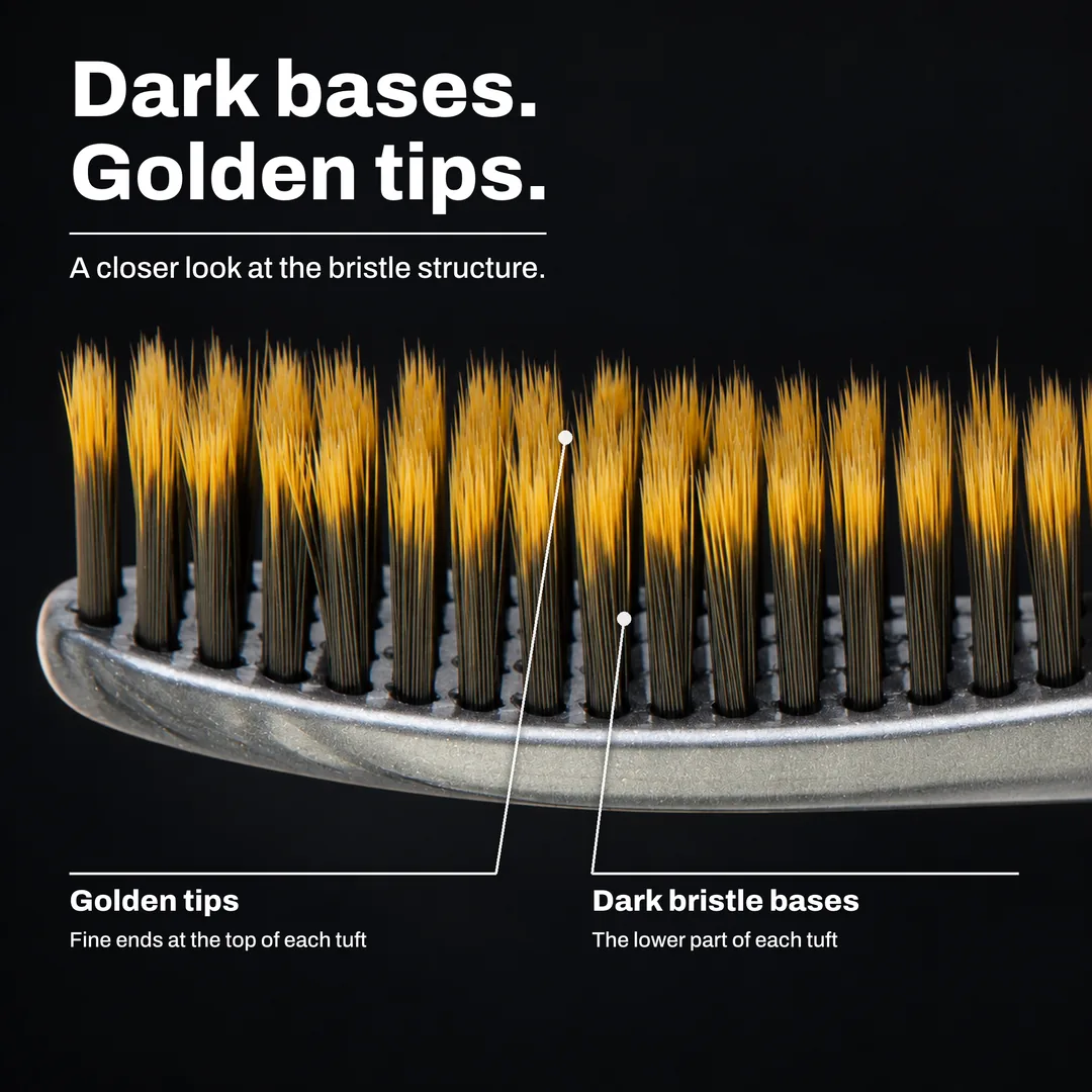 Dark bases. Golden tips. A closer look at the bristle structure. Golden tips: Fine ends at the top of each tuft. Dark bristle bases: The lower part of each tuft.