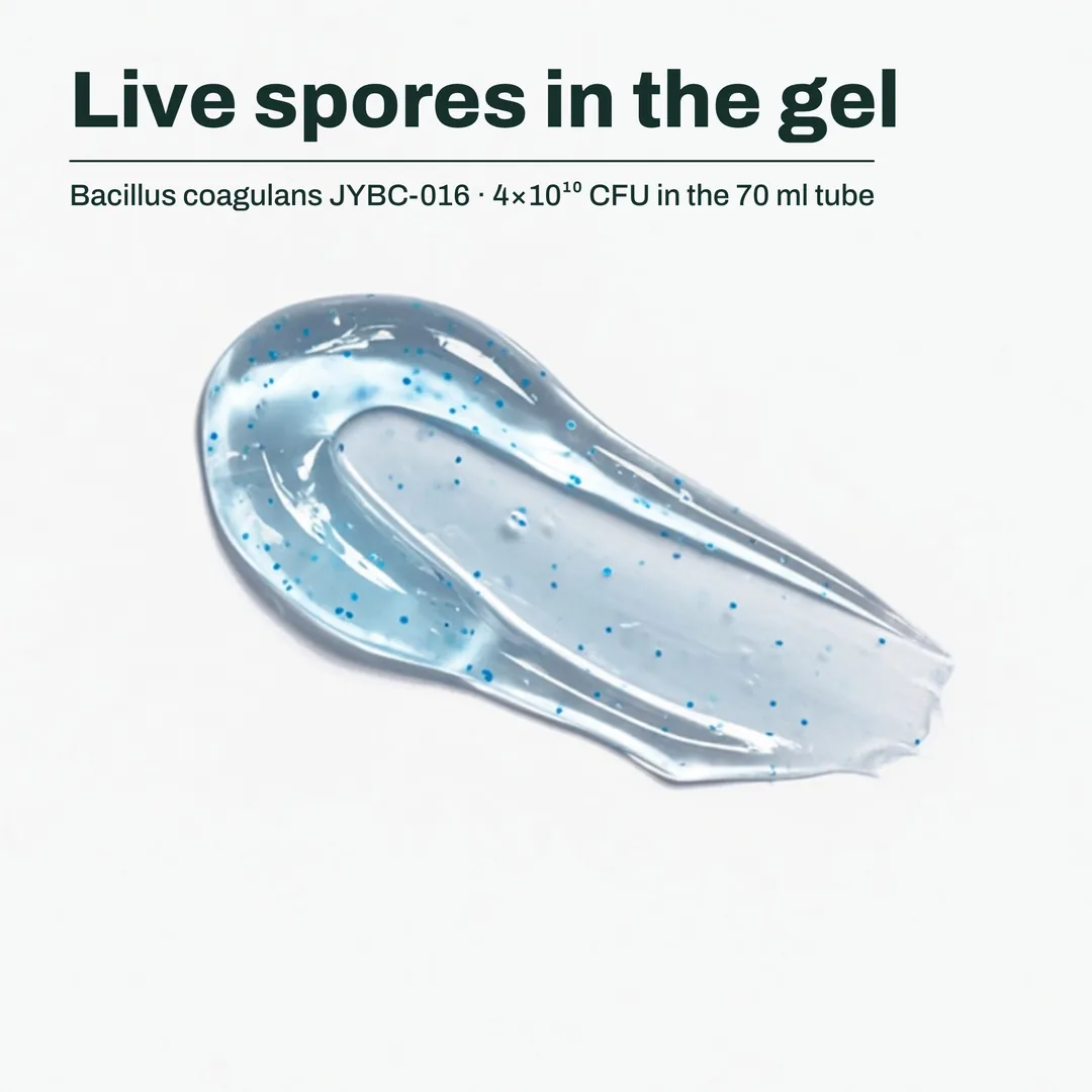 Live spores in the gel — Bacillus coagulans JYBC-016 · 4×10¹⁰ CFU in the 70 ml tube
