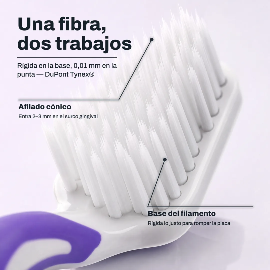 Una fibra, dos trabajos — Rígida en la base, 0,01 mm en la punta — DuPont Tynex® · Afilado cónico: Entra 2–3 mm en el surco gingival · Base del filamento: Rígida lo justo para romper la placa