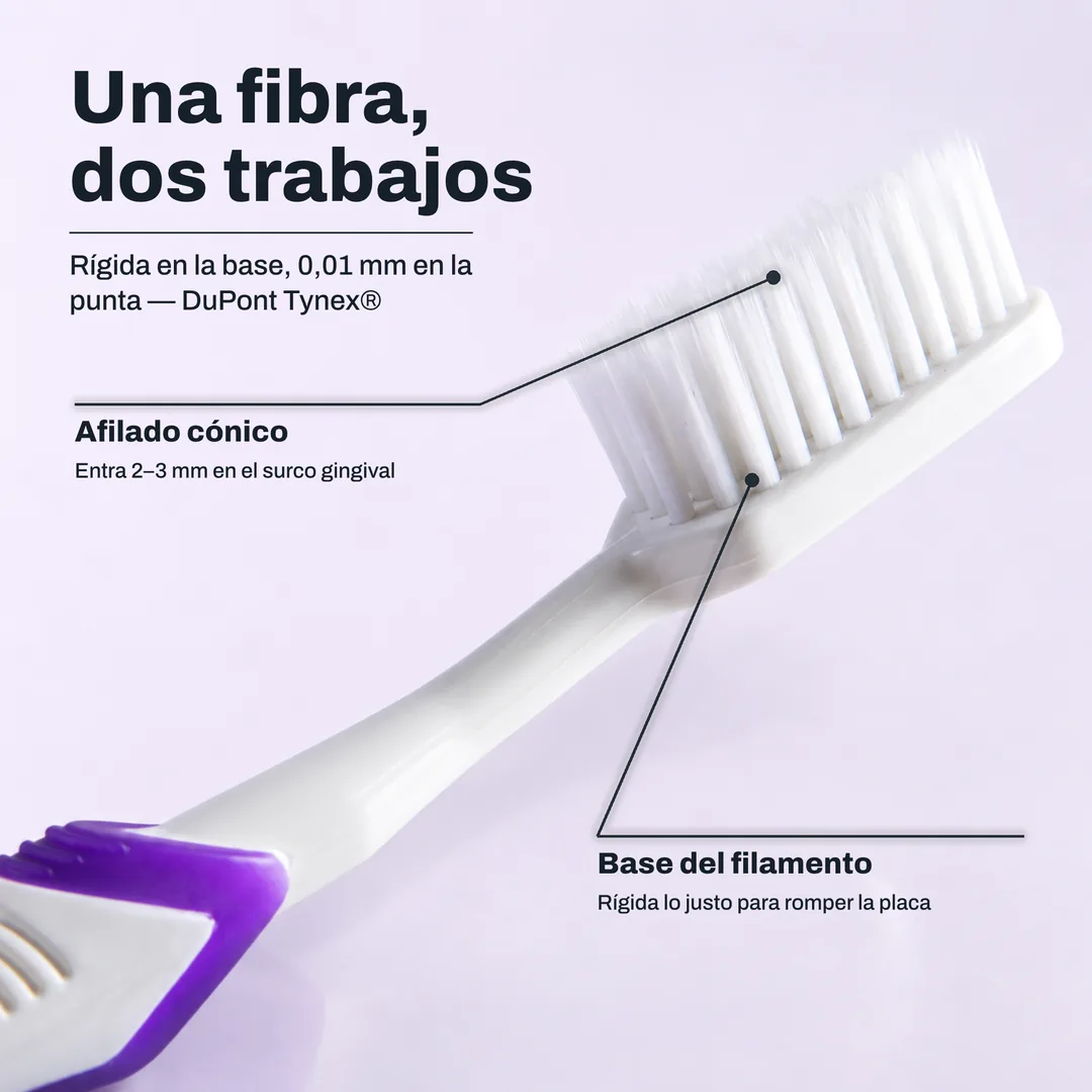 Una fibra, dos trabajos — Rígida en la base, 0,01 mm en la punta — DuPont Tynex® · Afilado cónico: Entra 2–3 mm en el surco gingival · Base del filamento: Rígida lo justo para romper la placa
