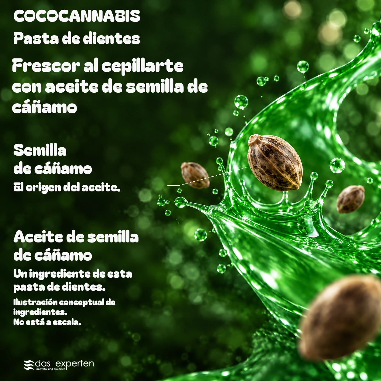 COCOCANNABIS · Frescor al cepillarte · con aceite de semilla de cáñamo · Ilustración conceptual de ingredientes. · No está a escala.