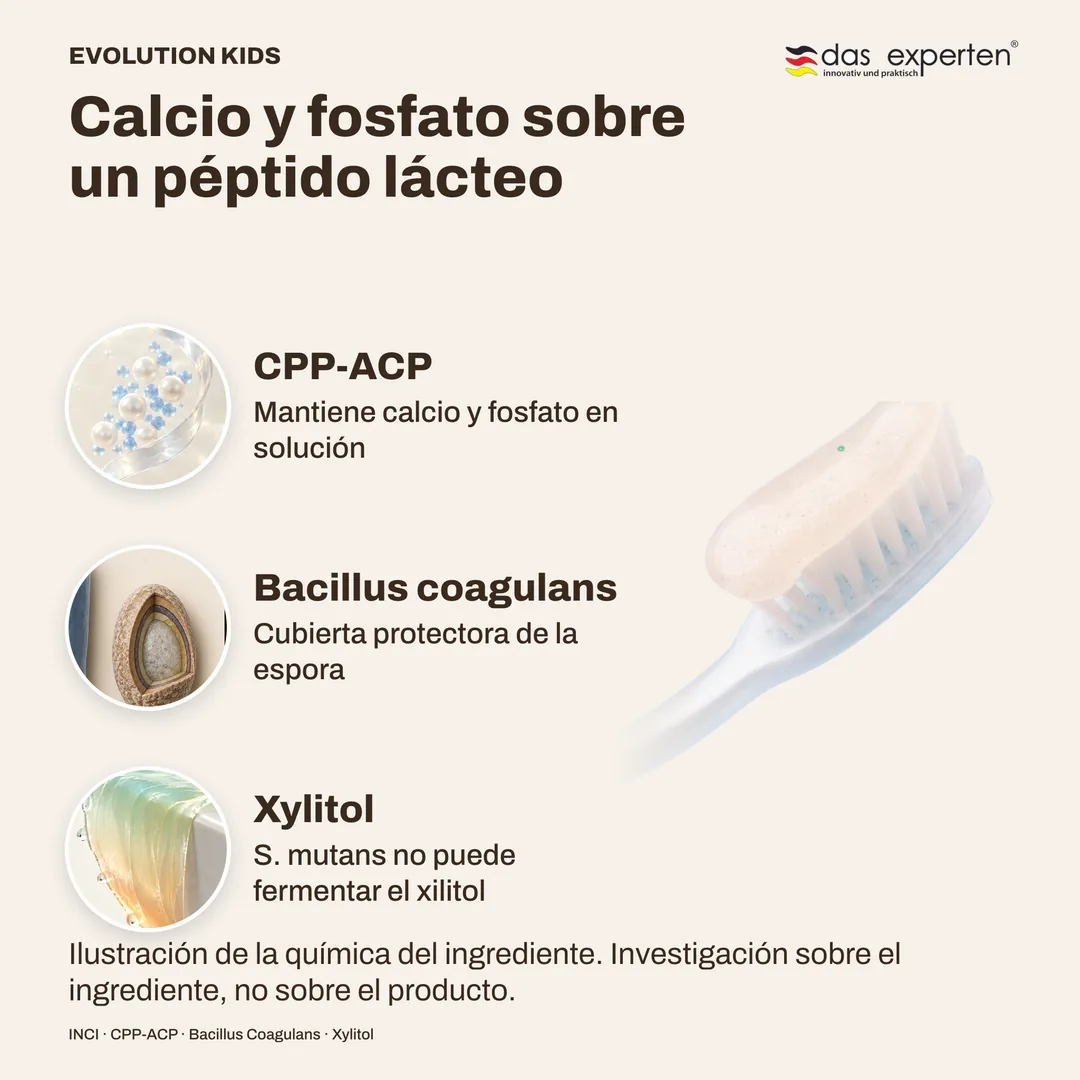 Calcio y fosfato sobre un péptido lácteo · Bacillus coagulans · Xylitol