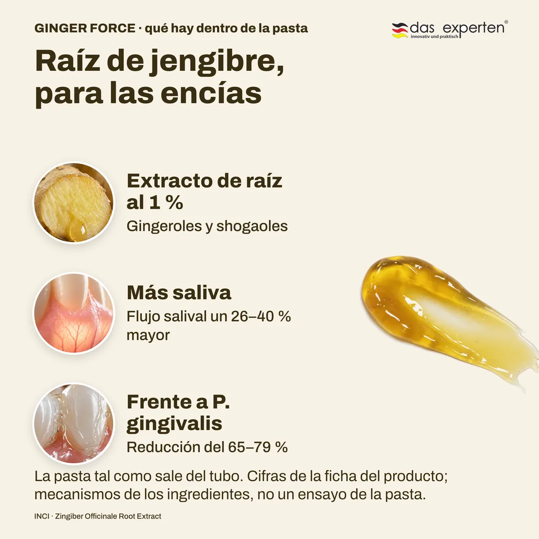 Raíz de jengibre, para las encías — Extracto de raíz al 1 %; Más saliva; Frente a P. gingivalis
