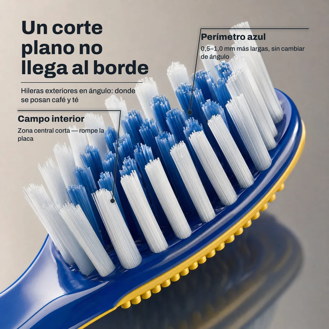 Un corte plano no llega al borde — Hileras exteriores en ángulo: donde se posan café y té · Perímetro azul: 0,5–1,0 mm más largas, sin cambiar de ángulo · Campo interior: Zona central corta — rompe la placa