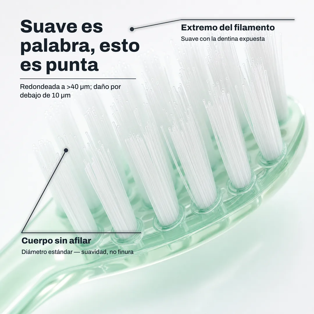 Suave es palabra, esto es punta — Redondeada a >40 μm; daño por debajo de 10 μm · Extremo del filamento: Suave con la dentina expuesta · Cuerpo sin afilar: Diámetro estándar — suavidad, no finura