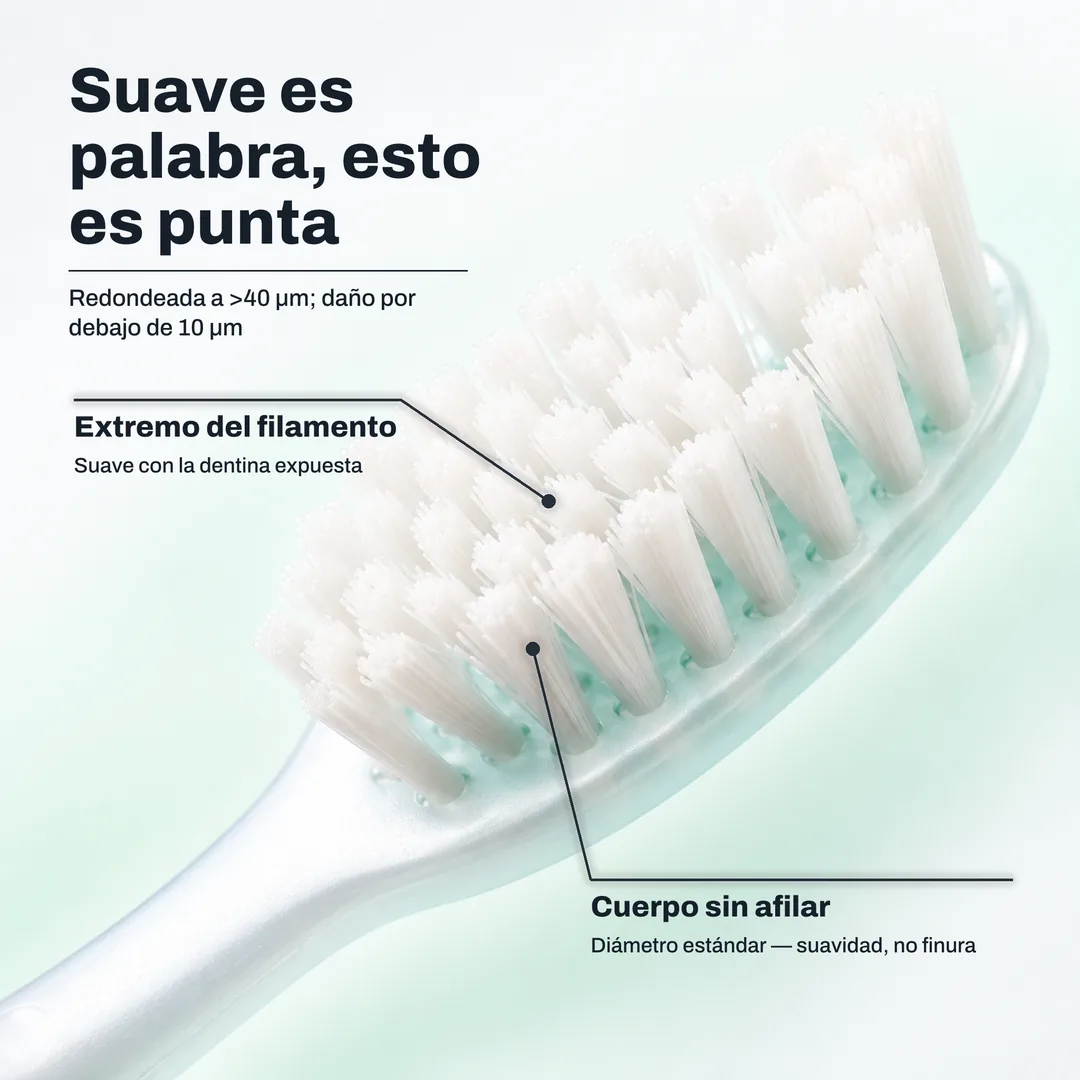 Suave es palabra, esto es punta — Redondeada a >40 μm; daño por debajo de 10 μm · Extremo del filamento: Suave con la dentina expuesta · Cuerpo sin afilar: Diámetro estándar — suavidad, no finura