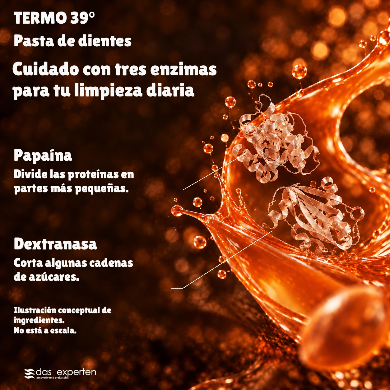 TERMO 39° · Cuidado con tres enzimas · para tu limpieza diaria · Ilustración conceptual de ingredientes. · No está a escala.